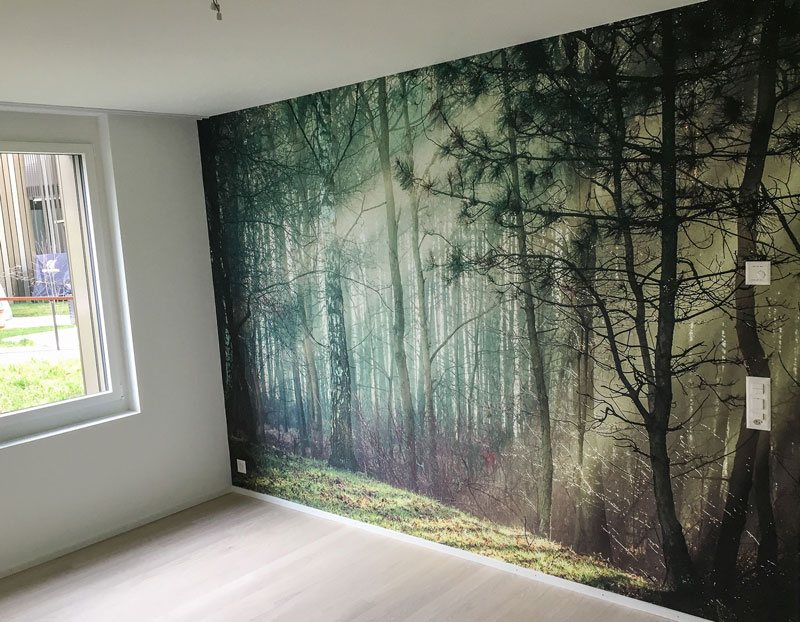 Fototapete mit Waldmotiv